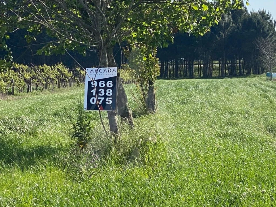 Terreno para Venda em São Bernardo Foto 7
