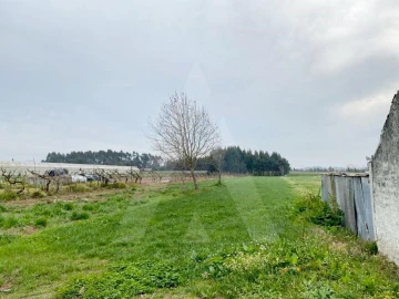 Terreno para Venda em São Bernardo