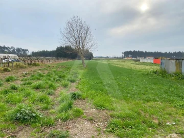 Terreno para Venda em São Bernardo