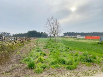 Terreno para Venda em São Bernardo