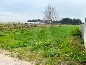 Terreno para Venda em São Bernardo