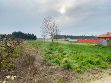 Terreno para Venda em São Bernardo