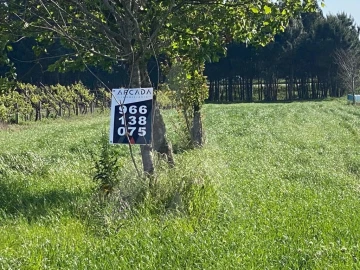 Terreno para Venda em São Bernardo
