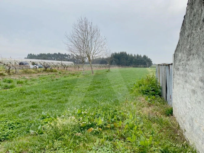 Terreno para Venda em São Bernardo Foto 3