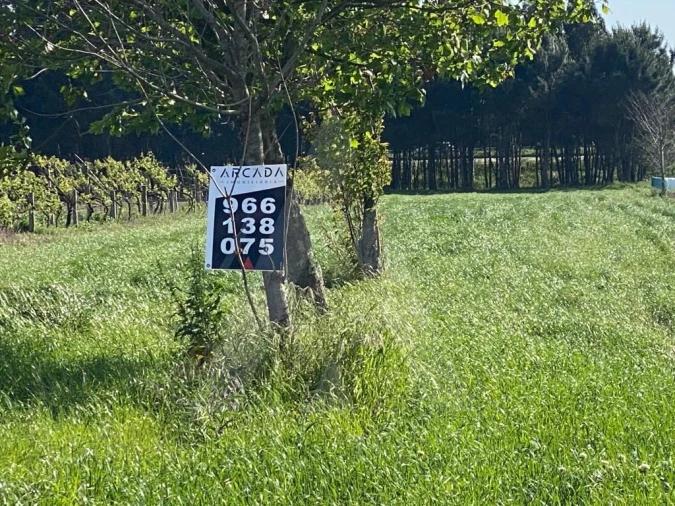 Terreno para Venda em São Bernardo Foto 7