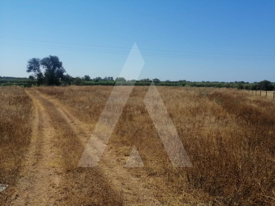 Terreno para Venda em Quarteira Foto 16