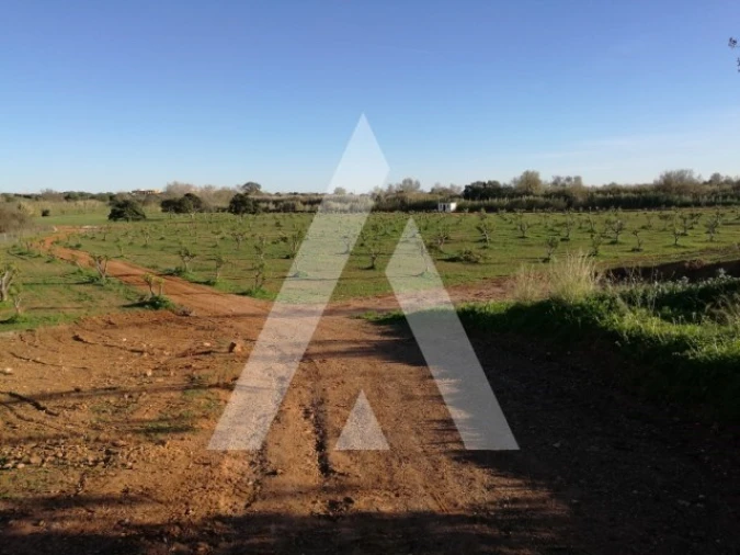 Terreno para Venda em Quarteira Foto 8