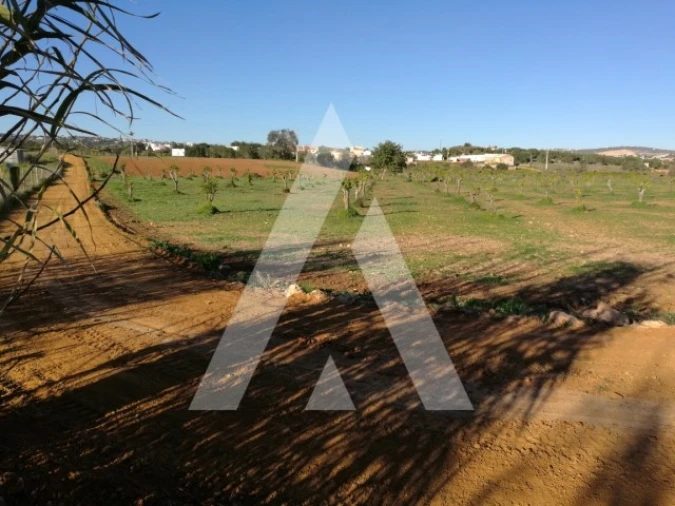 Terreno para Venda em Quarteira Foto 12