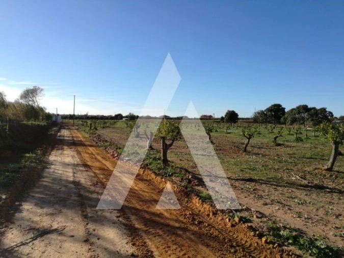 Terreno para Venda em Quarteira Foto 13