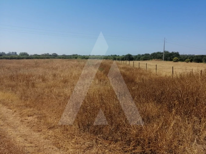 Terreno para Venda em Quarteira Foto 15