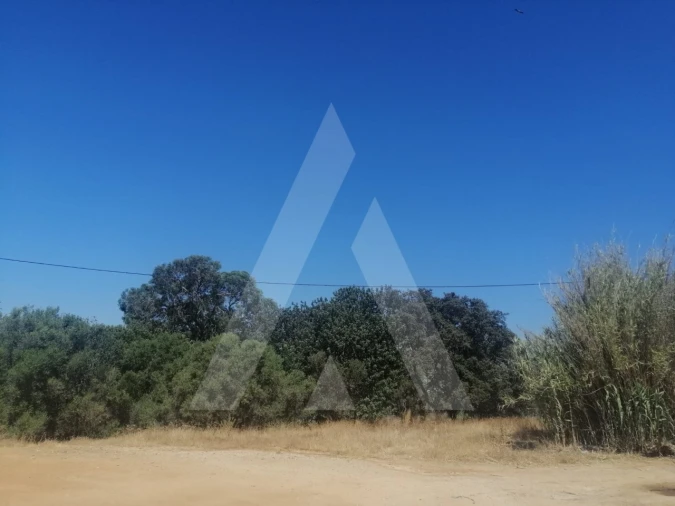 Terreno para Venda em Quarteira Foto 17