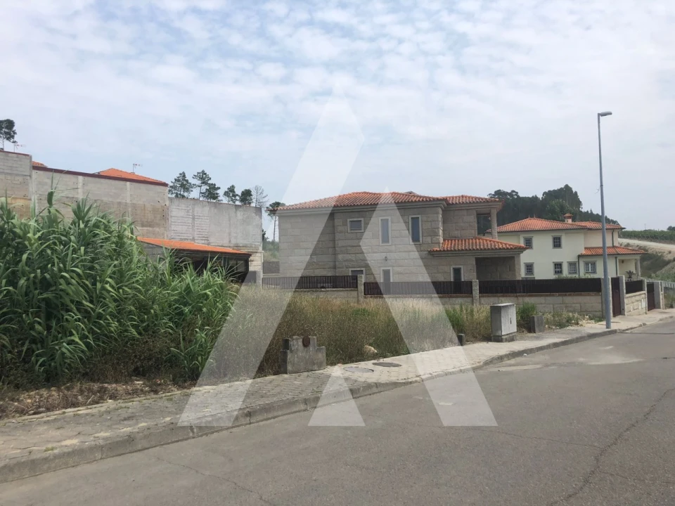 Terreno para Venda em Oliveira do Bairro Foto 1
