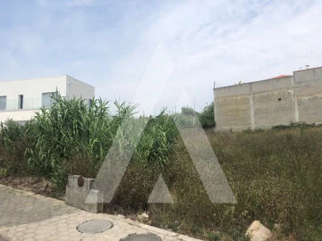 Terreno para Venda em Oliveira do Bairro