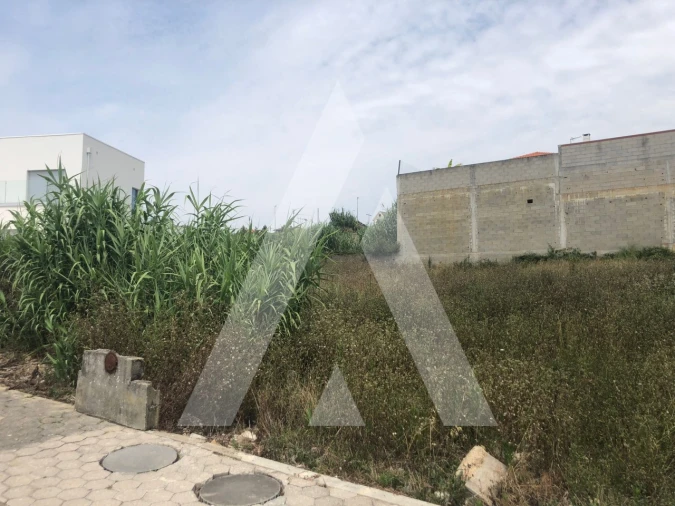 Terreno para Venda em Oliveira do Bairro Foto 2