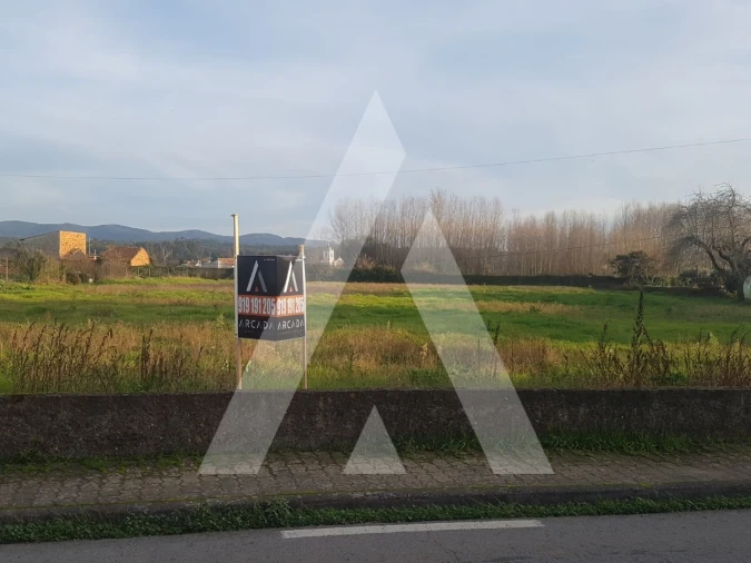 Terreno para Venda em Avelãs de Cima Foto 5