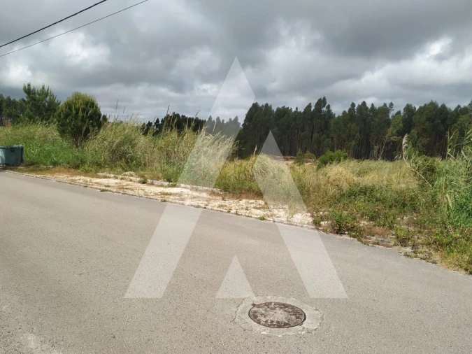 Terreno para Venda em Nossa Senhora do Pópulo, Coto e São Gregório Foto 5