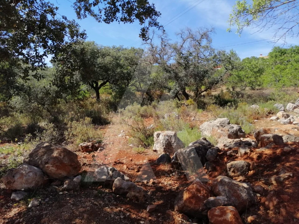 Terreno para Venda em Querença, Tôr e Benafim Foto 7