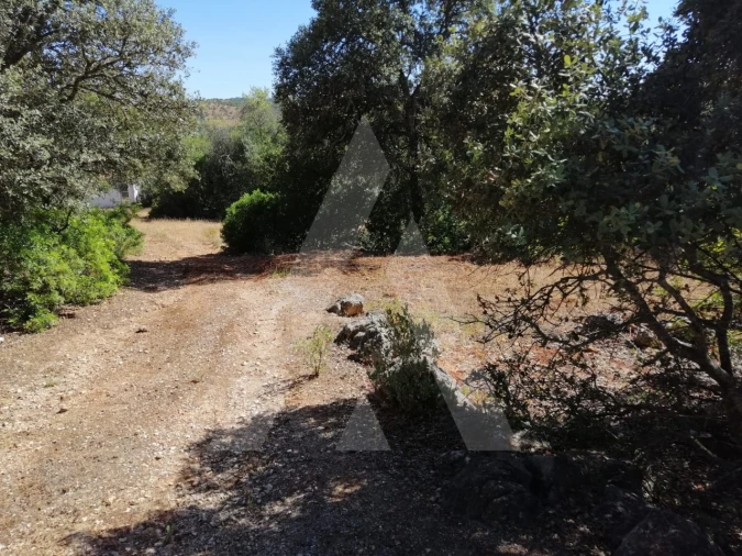 Terreno para Venda em Querença, Tôr e Benafim Foto 6