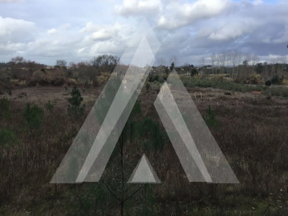 Terreno para Venda em Mealhada, Ventosa do Bairro e Antes Foto 1