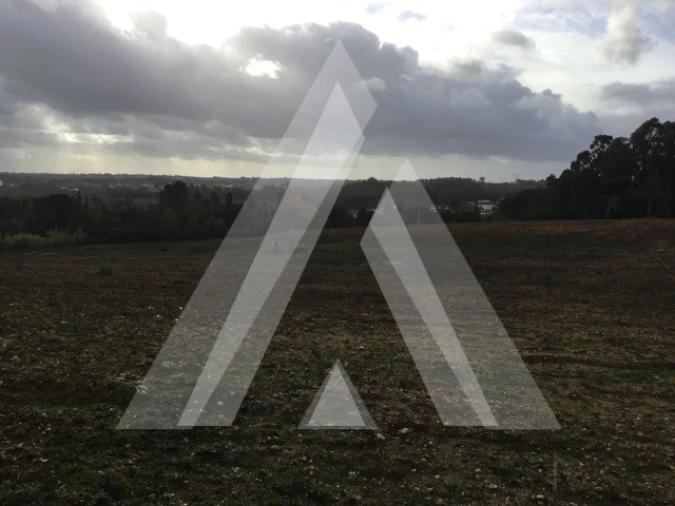 Terreno para Venda em Sangalhos Foto 1