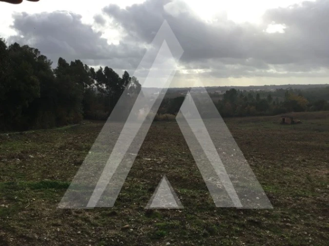 Terreno para Venda em Sangalhos Foto 2