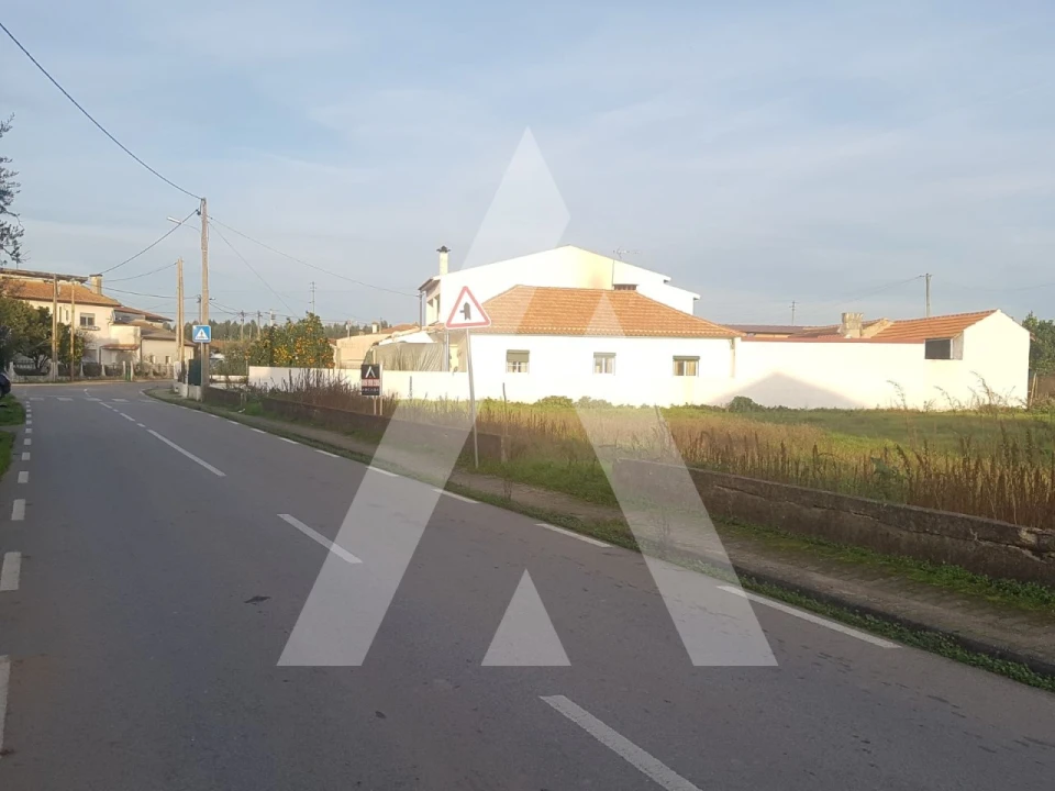 Terreno para Venda em Avelãs de Cima Foto 5