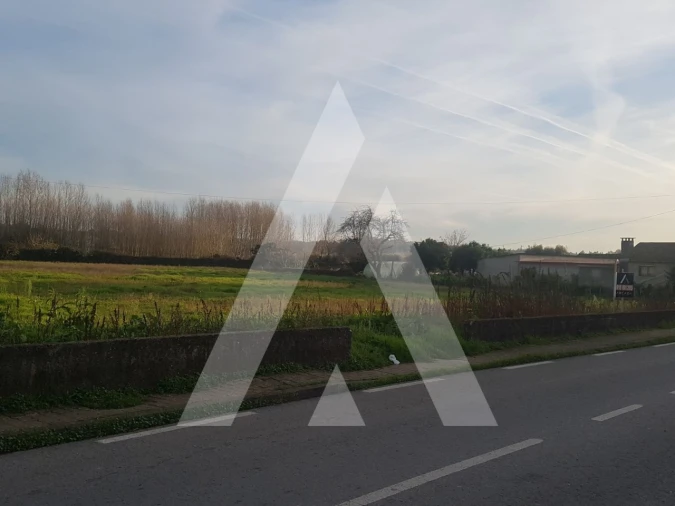 Terreno para Venda em Avelãs de Cima