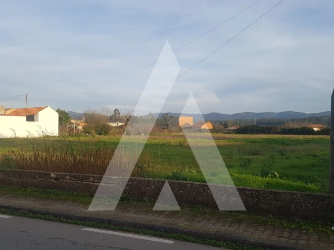 Terreno para Venda em Avelãs de Cima Foto 4