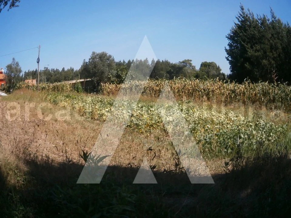 Terreno para Venda em Requeixo, Nossa Senhora de Fátima e Nariz Foto 2