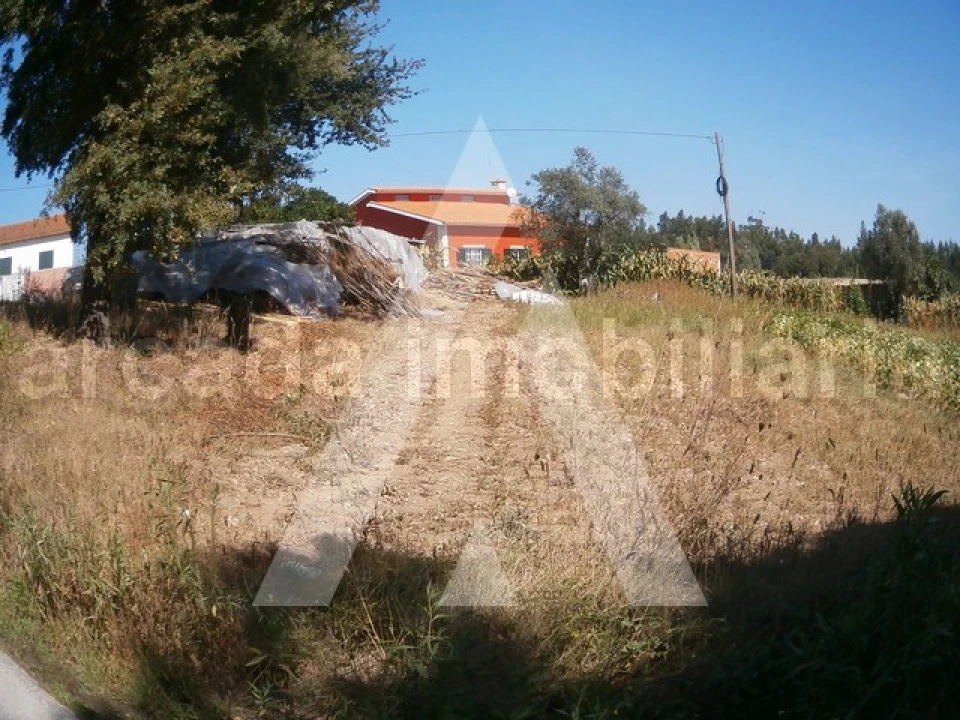 Terreno para Venda em Requeixo, Nossa Senhora de Fátima e Nariz Foto 4