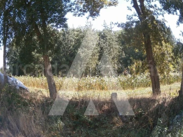 Terreno para Venda em Requeixo, Nossa Senhora de Fátima e Nariz
