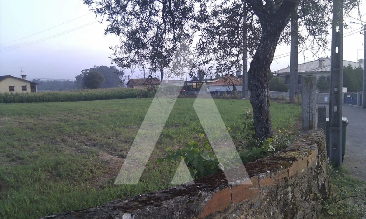 Terreno para Venda em Pinheiro da Bemposta, Travanca e Palmaz Foto 3