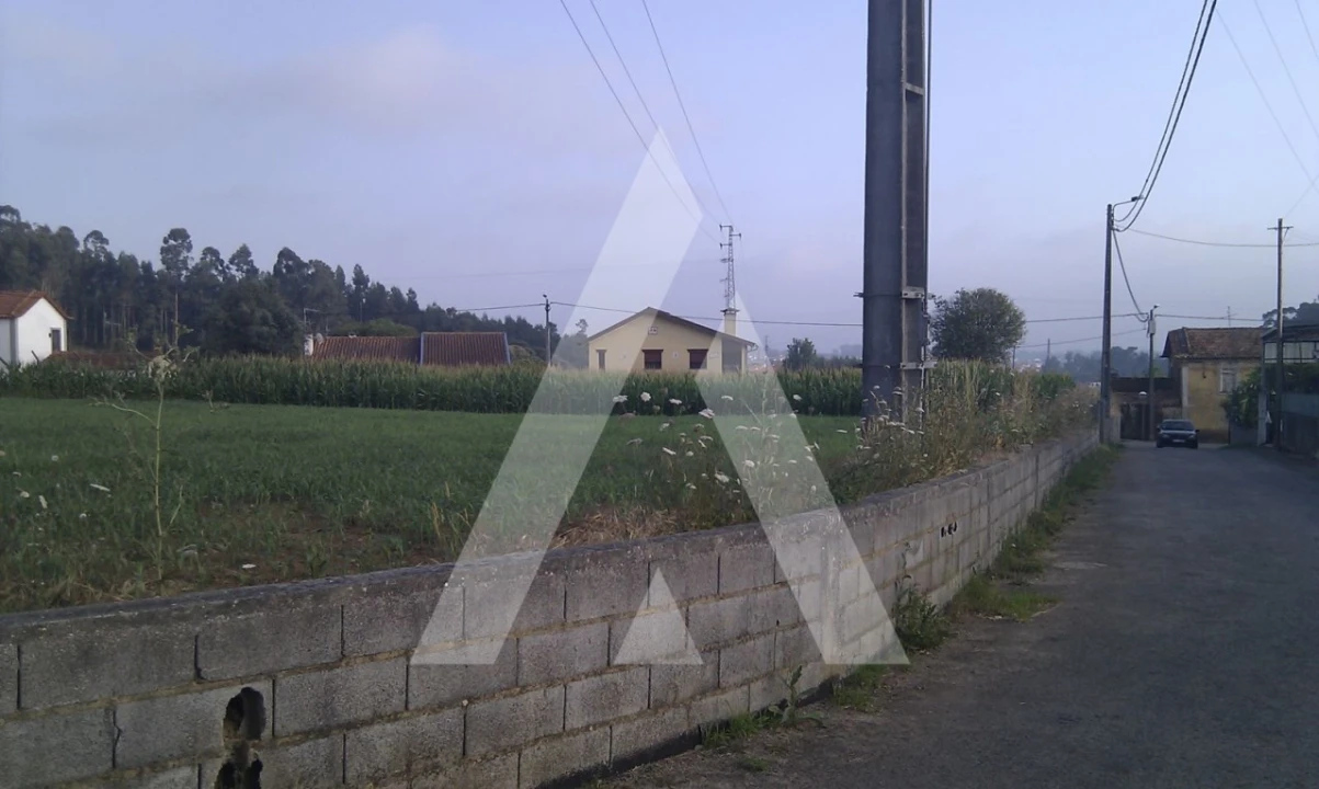 Terreno para Venda em Pinheiro da Bemposta, Travanca e Palmaz Foto 4