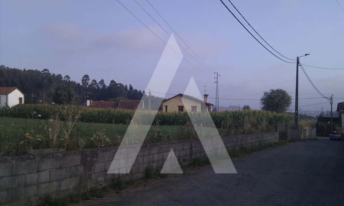 Terreno para Venda em Pinheiro da Bemposta, Travanca e Palmaz Foto 5
