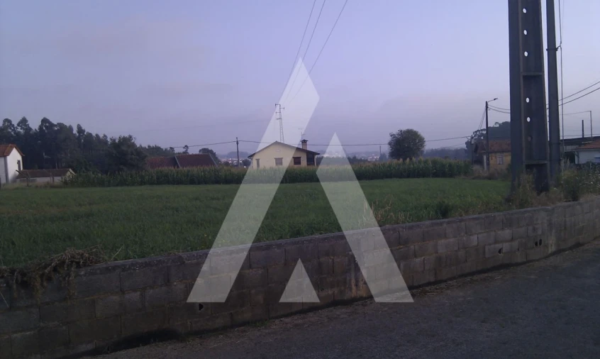 Terreno para Venda em Pinheiro da Bemposta, Travanca e Palmaz