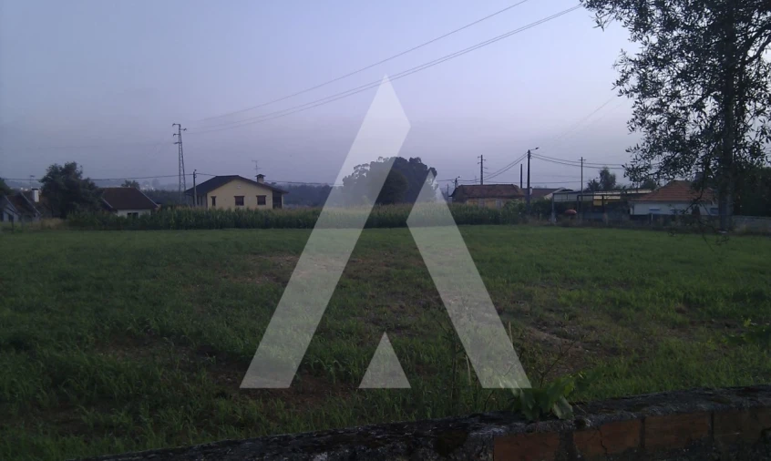 Terreno para Venda em Pinheiro da Bemposta, Travanca e Palmaz Foto 2