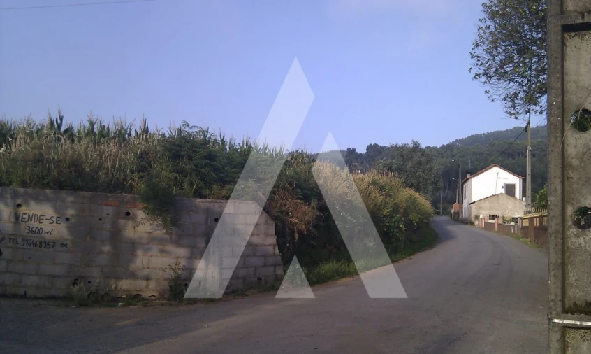 Terreno para Venda em Pinheiro da Bemposta, Travanca e Palmaz Foto 6