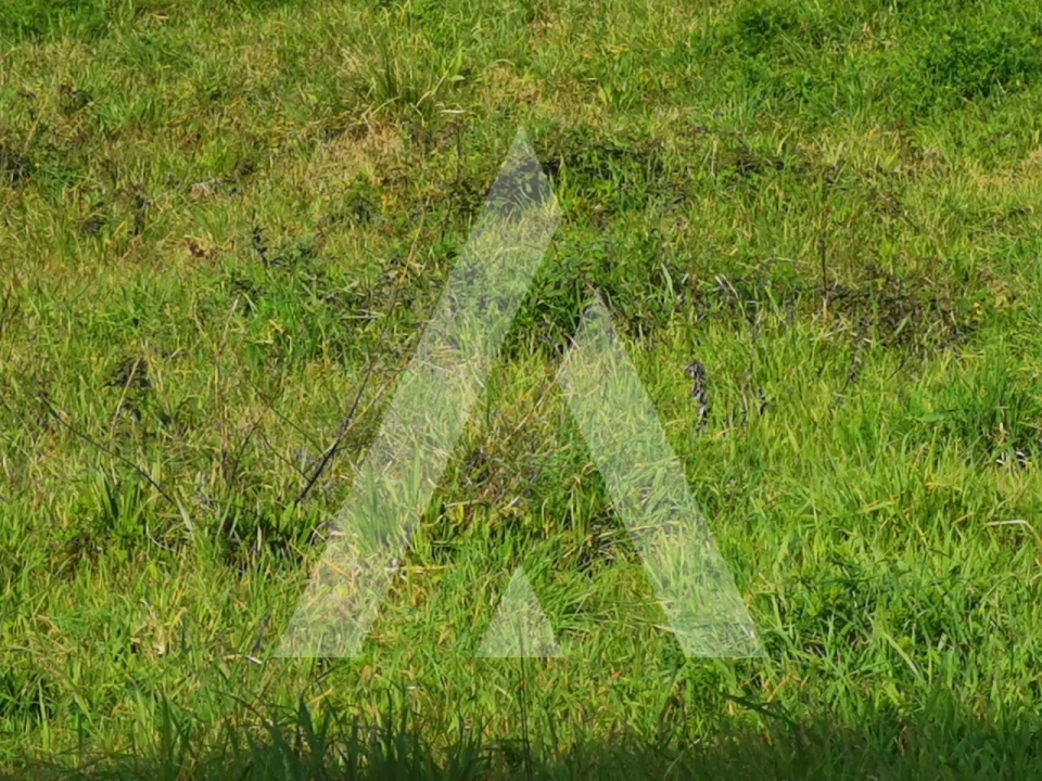 Terreno para Venda em Fermentelos Foto 2