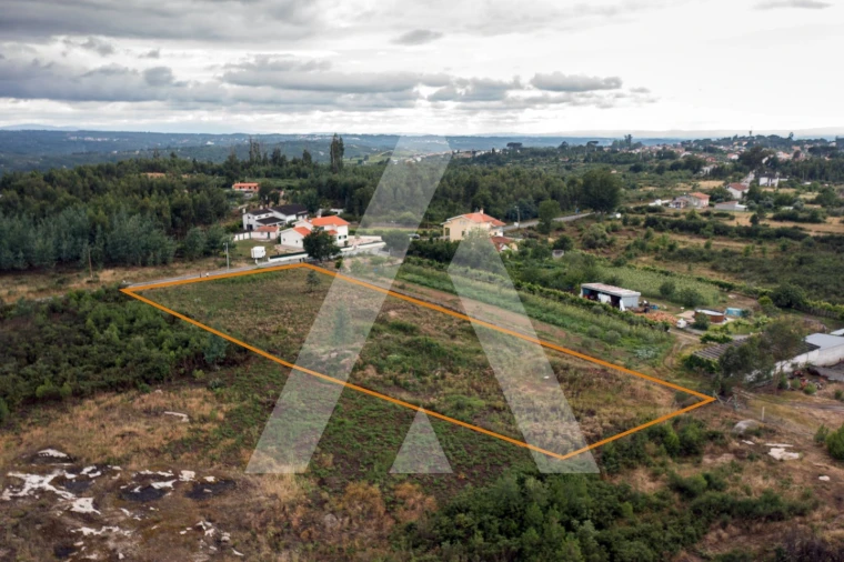 Terreno para Venda em Midões Foto 1