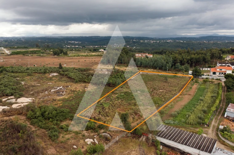 Terreno para Venda em Midões Foto 9