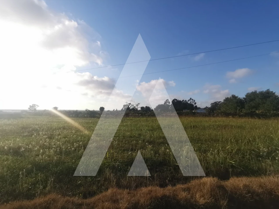 Terreno para Venda em Cacia Foto 1