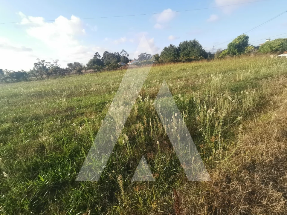 Terreno para Venda em Cacia Foto 6