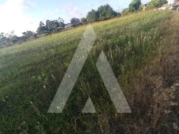 Terreno para Venda em Cacia