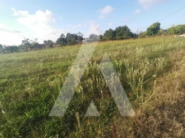 Terreno para Venda em Cacia