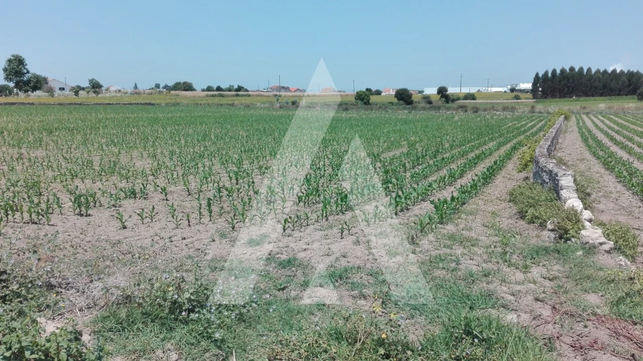 Terreno para Venda em Aradas Foto 1