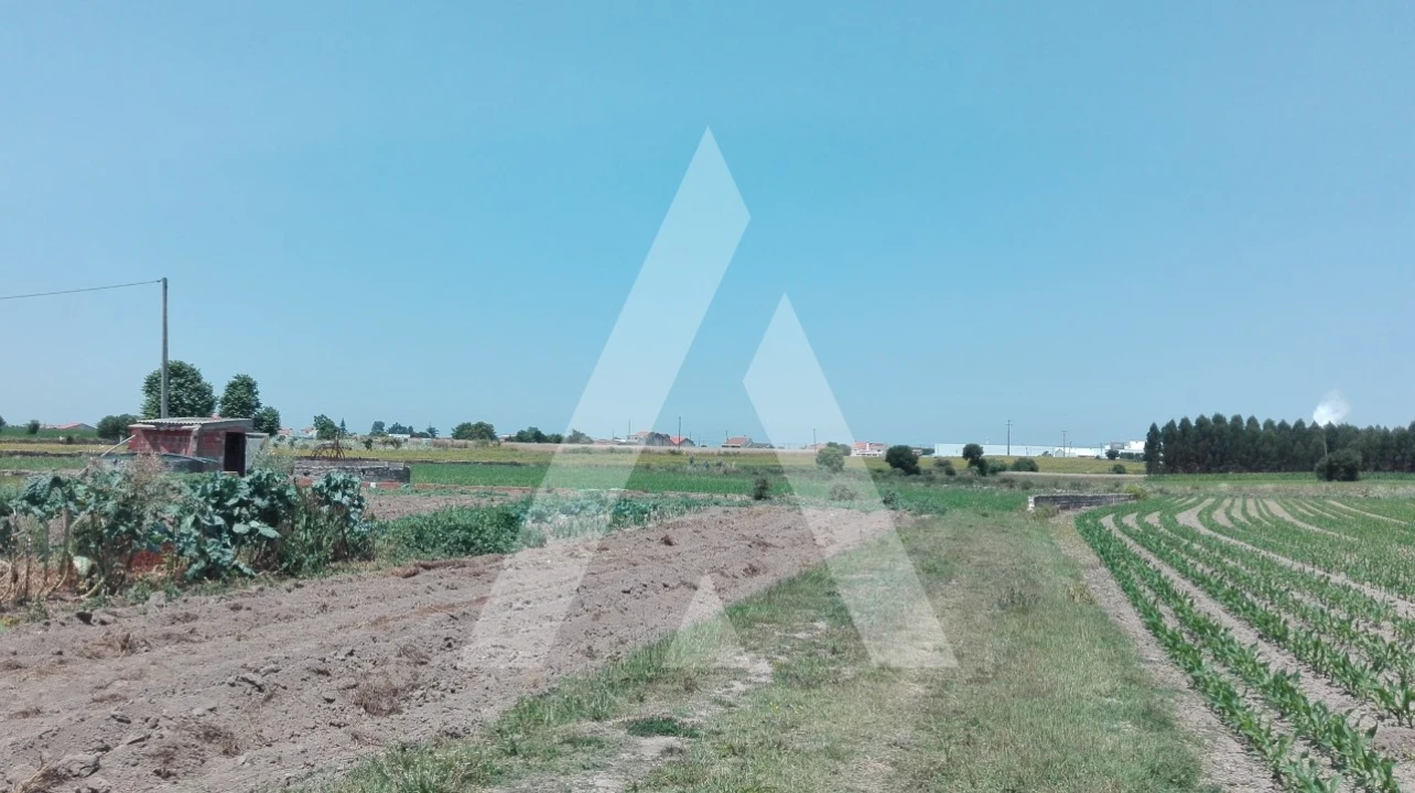 Terreno para Venda em Aradas Foto 4