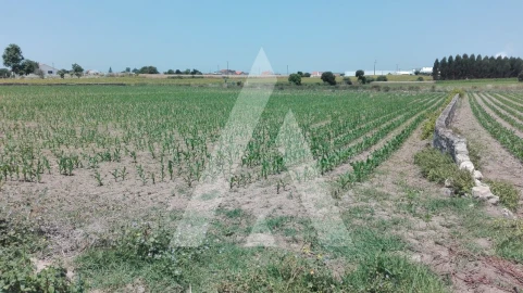 Terreno para Venda em Aradas