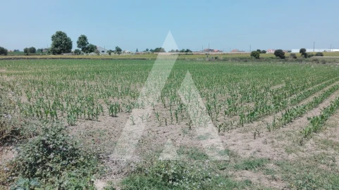 Terreno para Venda em Aradas