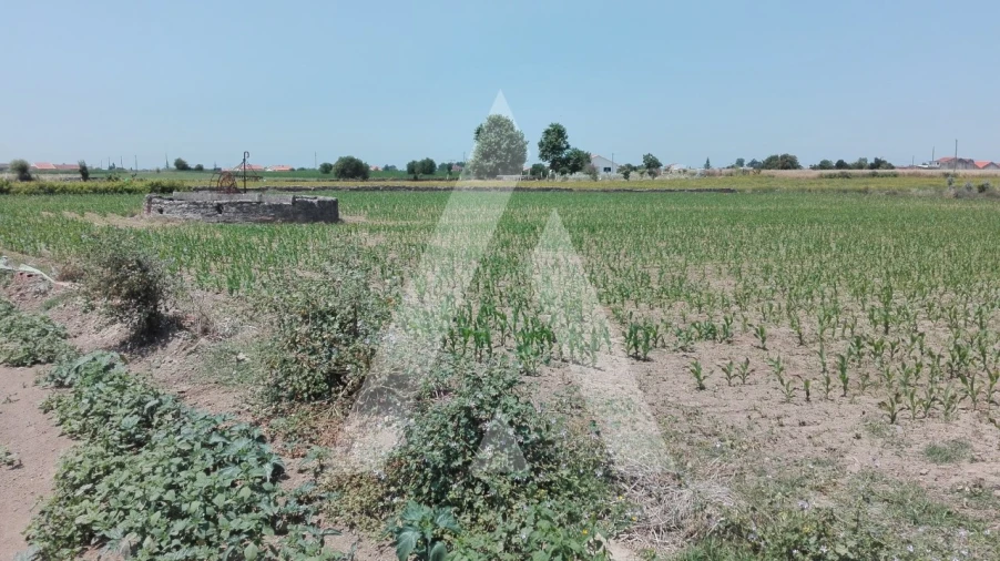 Terreno para Venda em Aradas Foto 2