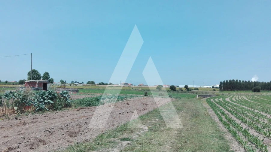 Terreno para Venda em Aradas Foto 4